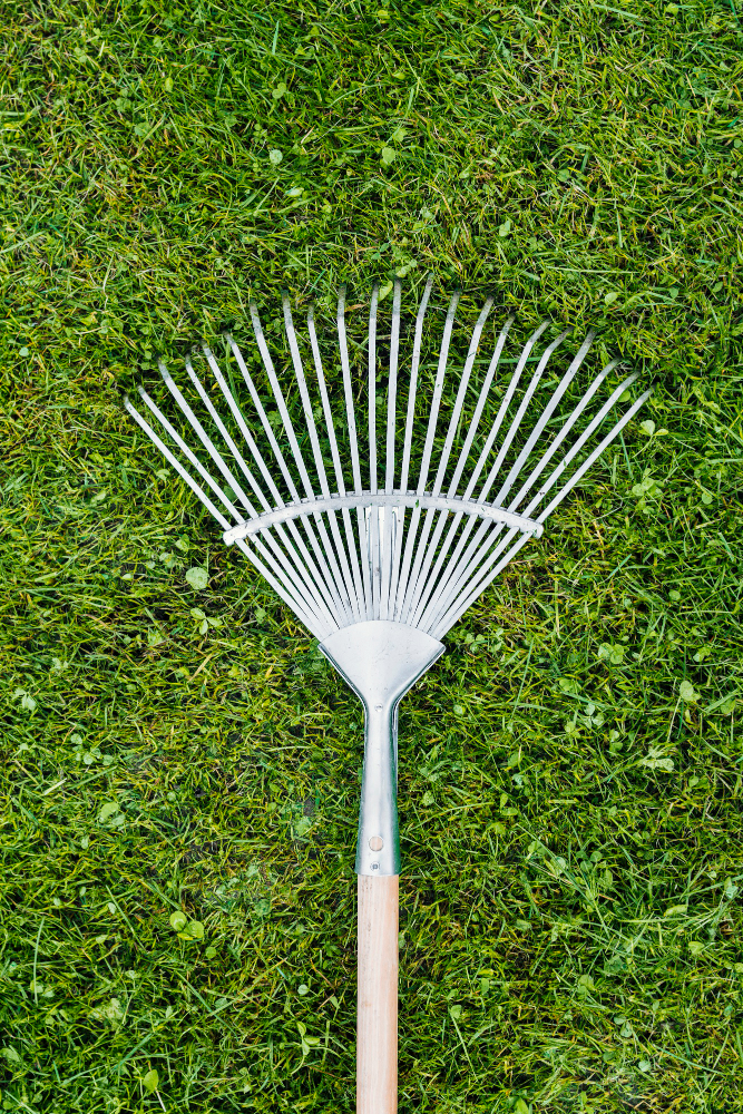 best power broom for grass