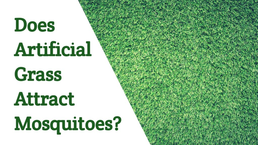 Does Artificial Grass Attract Mosquitoes?